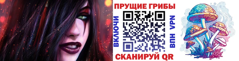 как найти закладки  Велиж  Псилоцибиновые грибы Magic Shrooms 